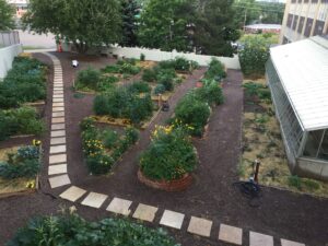 Garden at George Washington HS in late July