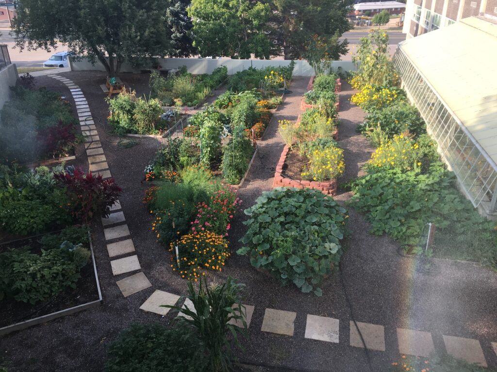 The Denver Urban Gardens community garden at George Washington High School