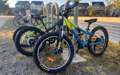 Your Updates: Stories, Support & Successes