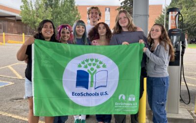 November Newsletter: Stories, Support & Successes